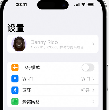 隆阳appleID维修服务iPhone设置中Apple ID显示为灰色无法使用 