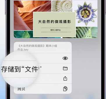 隆阳apple维修中心分享iPhone文件应用中存储和找到下载文件