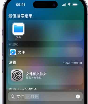 隆阳apple维修中心分享iPhone文件应用中存储和找到下载文件 