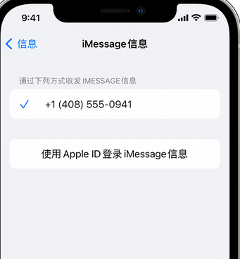 隆阳apple维修iPhone上无法正常发送iMessage信息