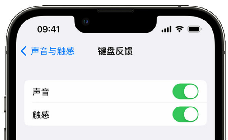 隆阳苹果手机维修分享iPhone 14触感键盘使用方法 