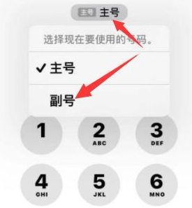 隆阳苹果14维修店分享iPhone 14 Pro Max使用副卡打电话的方法 