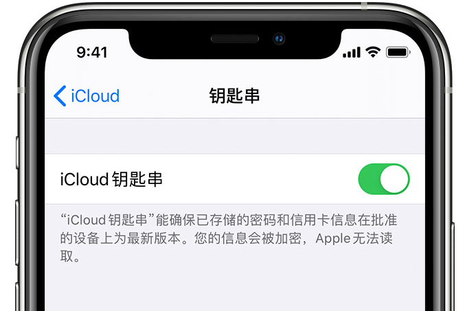 隆阳苹果手机维修分享在 iPhone 上开启 iCloud 钥匙串之后会储存哪些信息 