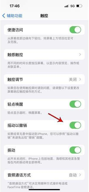 隆阳苹果手机维修分享iPhone手机如何设置摇一摇删除文字 